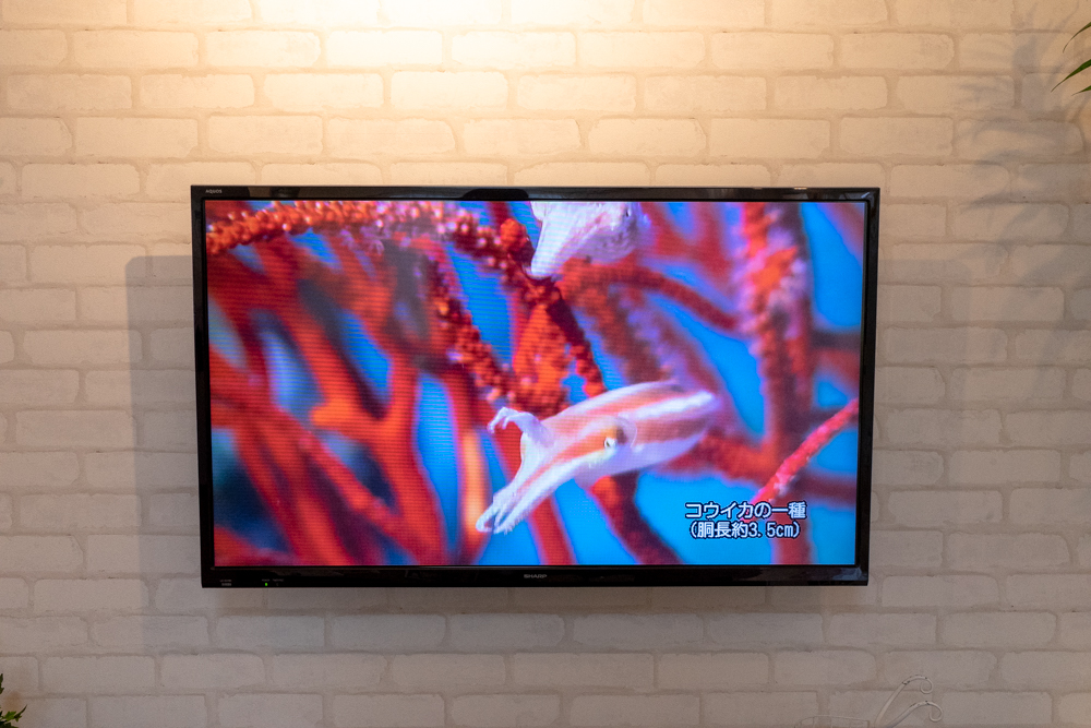 住宅展示場で発見 楽しい壁紙選び Standard