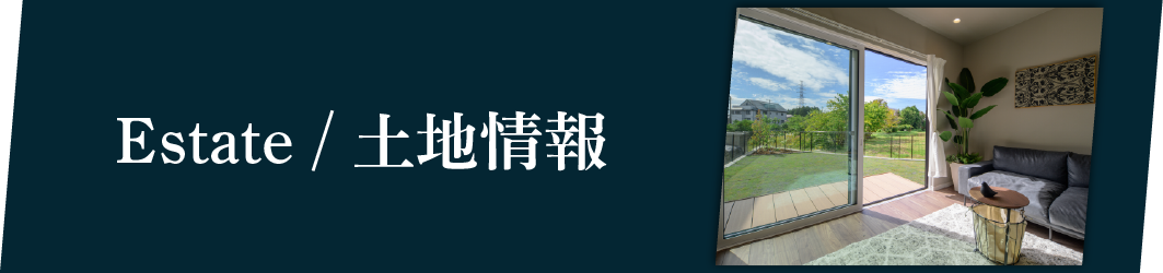 土地情報